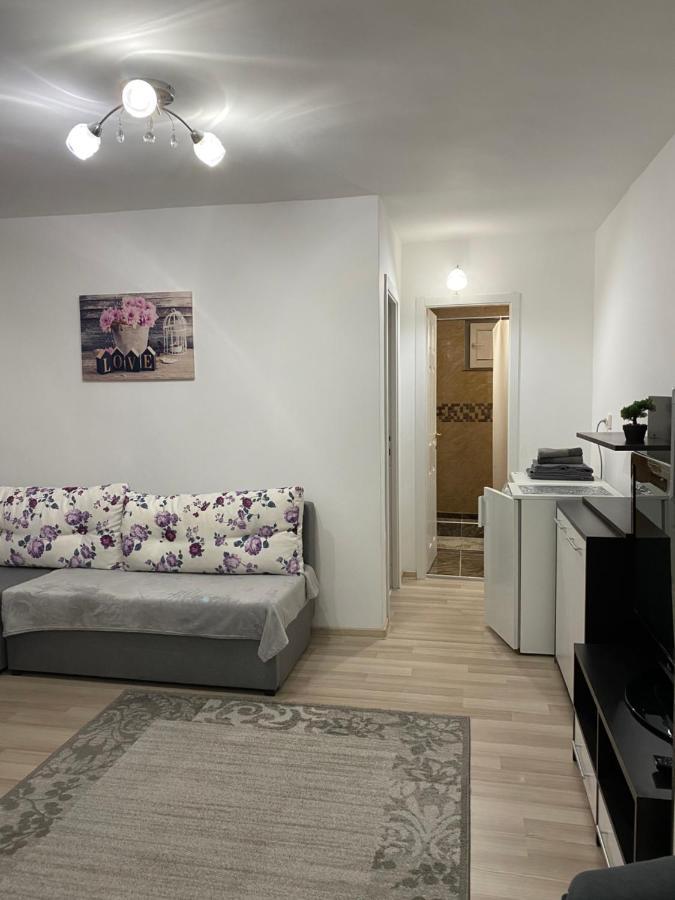 5 Residence Apartment Cavnic Esterno foto